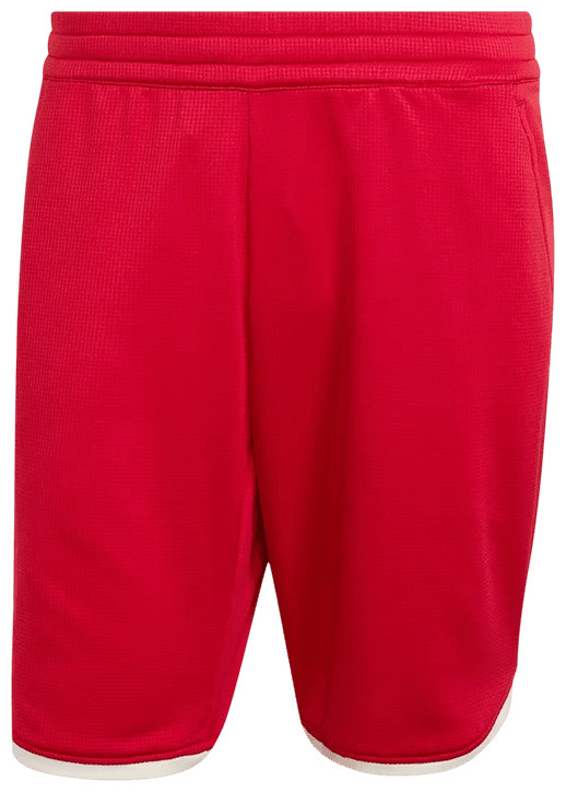 Шорты мужские Adidas Heritage 9in Shorts M, Красные (M)