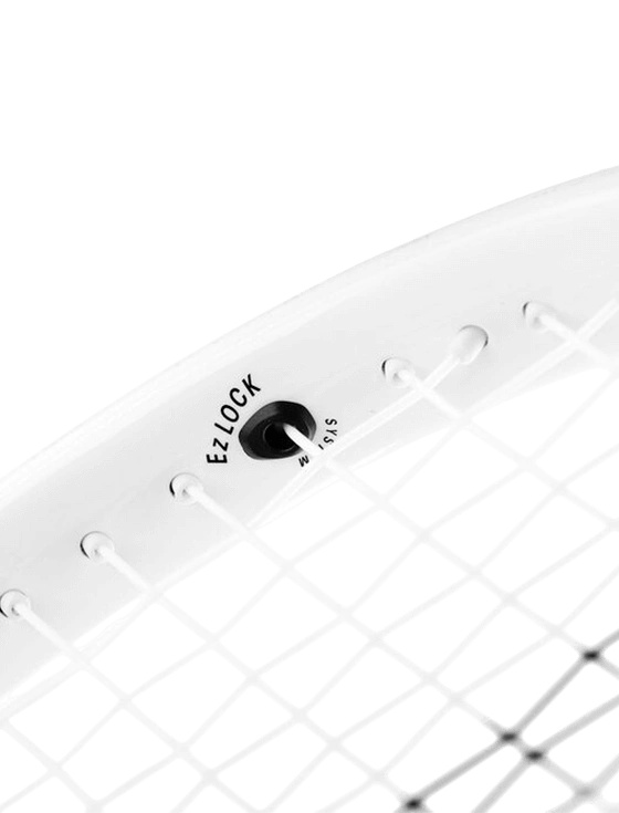 Ракетка для тенниса Tecnifibre TFight 300 2025