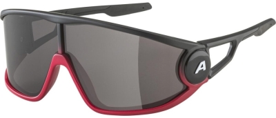 Очки солнцезащитные Alpina Legend Black-Red Matt/Black, Черный/Красный