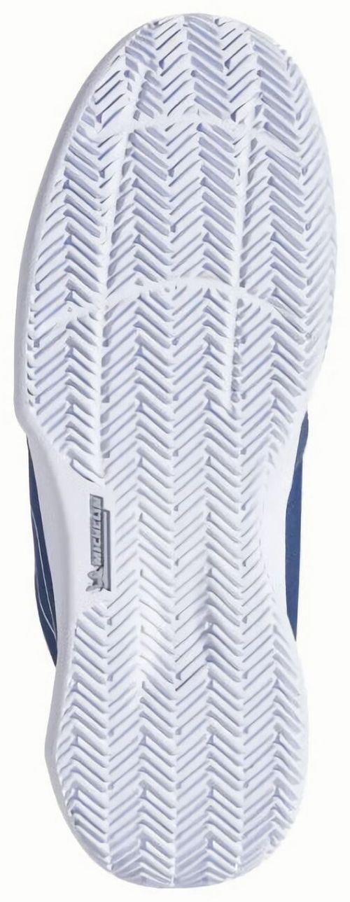 (EU) Кроссовки мужские Babolat SFX EVO CLAY, 3A0S25A925, Темно-Синие (р. 45)