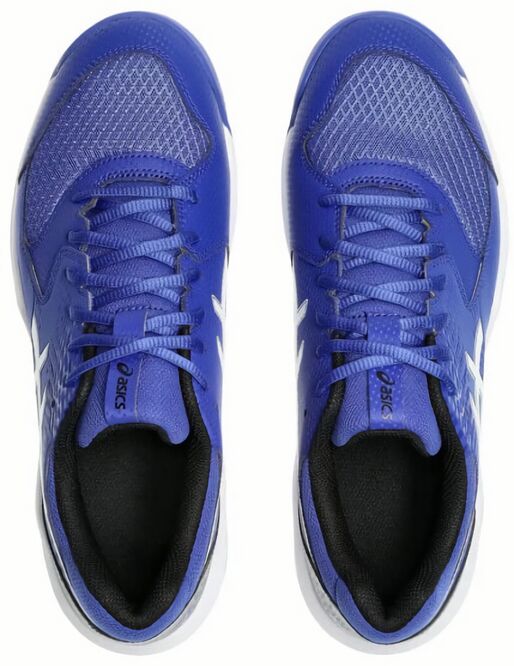 (EU) Кроссовки мужские Asics Gel-Dedicate 8, 1041A448 402, Синие (р. 44)