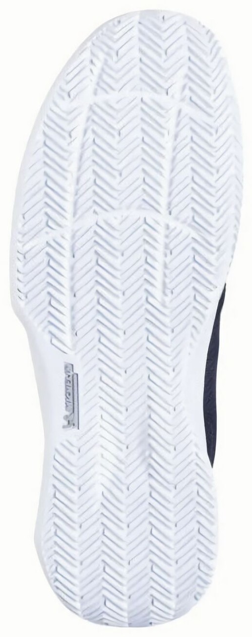 (EU) Кроссовки мужские Babolat SFX EVO CL, 30S24925 2042, Темно-Синие (р. 44)