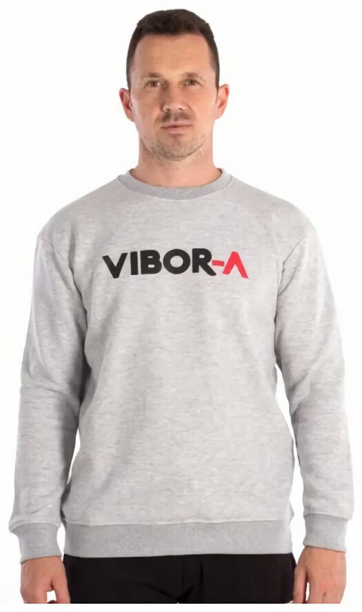 (EU) Толстовка мужская Vibor-A Assassin 24267, Серая (L)