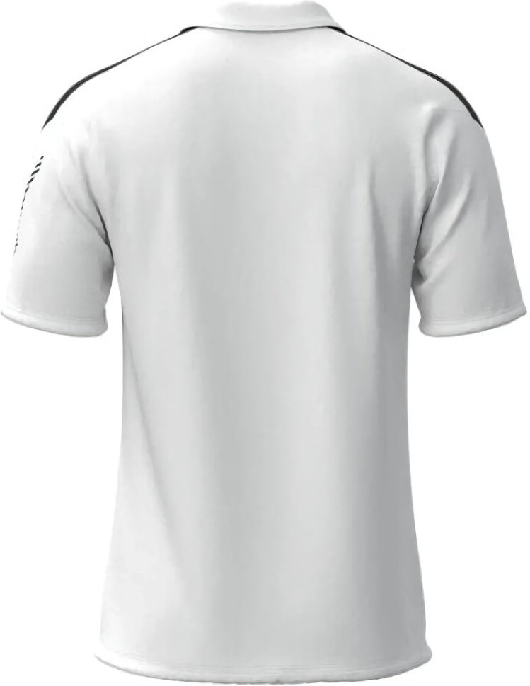 (EU) Поло мужское Mizuno Team, Белое (S)