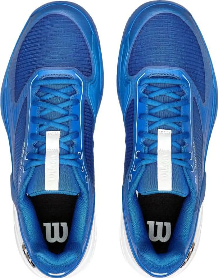 (EU) Кроссовки мужские Wilson Rush Pro 5 Clay Blue Wrs338550, Синие (р. 41 1/3)
