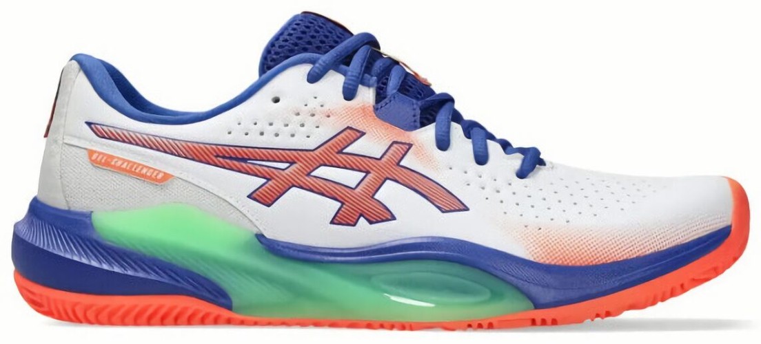 (EU) Кроссовки мужские Asics Gel-Challenger 15, 1041A511 100, Мультиколор (р. 44,5)