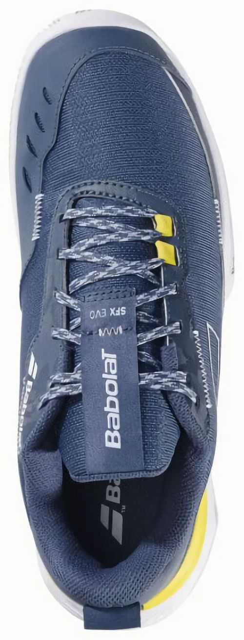 (EU) Кроссовки мужские Babolat SFX EVO CLAY, 3A0S25A925, Темно-Синие (р. 45)