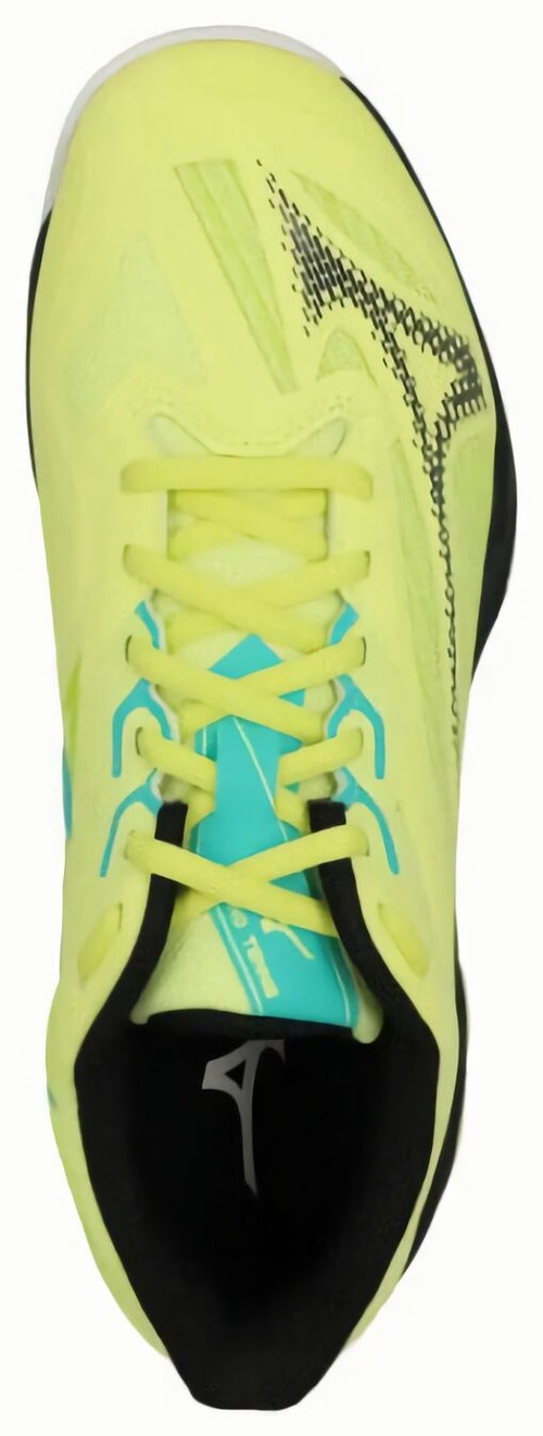 (EU) Кроссовки мужские Mizuno Wave Exceed Light 2, 61GC2320 47, Желтые (р. 44,5)