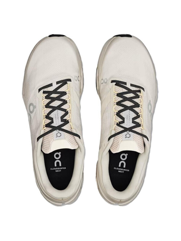 Беговые кроссовки мужские ON Cloudsurfer Next Low top Sprint