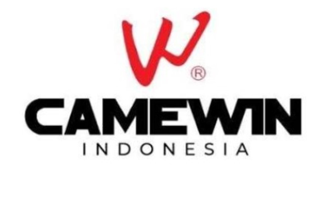 Логотип CameWin
