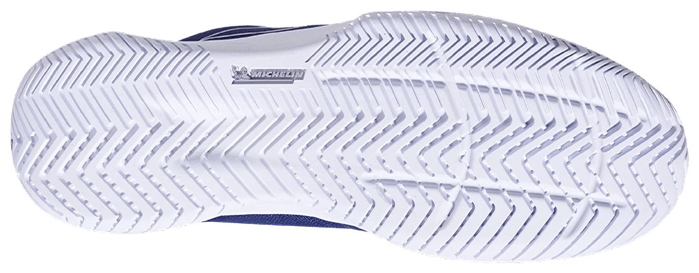 Кроссовки мужские Babolat SFX Evo All Court 4131, Темно-синие/Белые, с технологией Michelin (р. EUR 43)