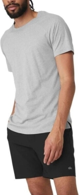 (CN) Футболка с круглым вырезом Alo Yoga The Triumph Crew Neck Tee, Серая (S)