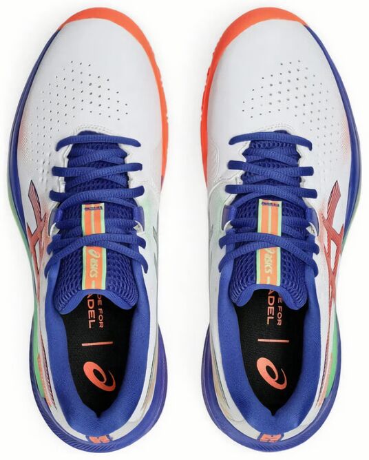 (EU) Кроссовки мужские Asics Gel-Challenger 15, 1041A511 100, Мультиколор (р. 44,5)