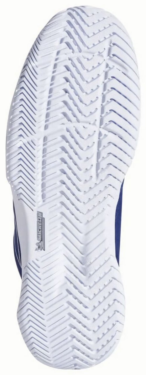 (EU) Кроссовки мужские Babolat SFX EVO, 3A0S25A555, Темно-Синие (р. 45)