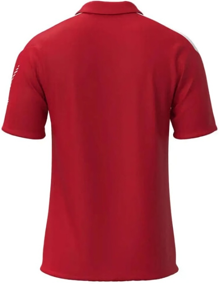 (EU) Поло мужское Mizuno Team, Красное (L)