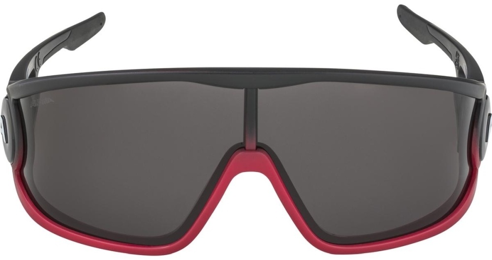 Очки солнцезащитные Alpina Legend Black-Red Matt/Black, Черный/Красный