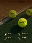 Мячи для падел тенниса PadelStars Pro Series 24 банки (3 шт в банке)
