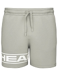 Шорты мужские Head ProPlayer Sweat Shorts M, Серые (M)