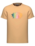 Футболка для мальчиков Head Carl T-Shirt B, Оранжевая (рост 164 см, 13–14 лет)