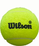 (EU) Мячи для падел тенниса Wilson Premier Padel Speed, 24 банки (3 шт в банке)