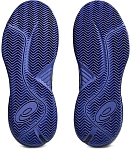 Кроссовки мужские Asics Gel-Challenger 15 Clay, Чёрные/Синие (р. 39)
