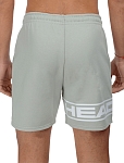 Шорты мужские Head ProPlayer Sweat Shorts M, Серые (M)