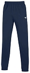 (EU) Брюки мужские Mizuno Team Chiba Micro 32Efb105 Men, Синие (M)