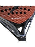 (EU) Ракетка для падел тенниса Siux Pegasus Elite 4