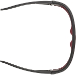 Очки солнцезащитные Alpina Legend Black-Red Matt/Black, Черный/Красный