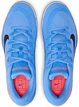 Кроссовки мужские Nike Vapor 12 Clay, Голубой/Темно-синий, для грунтовых кортов (р. 32)