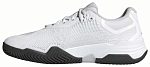 (EU) Кроссовки мужские Adidas Solematch Control 2 M, IF9110, Белые (р. 41,3)