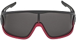 Очки солнцезащитные Alpina Legend Black-Red Matt/Black, Черный/Красный