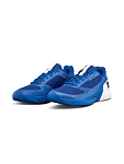 (EU) Кроссовки мужские Wilson Rush Pro 5 Clay Blue Wrs338550, Синие (р. 47 1/3)